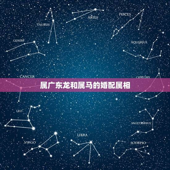 属广东龙和属马的婚配属相,1\属马的女孩与哪些属相不合。\2属马的女生 属广东龙和属马的婚配属相,1\属马的女孩与哪些属相不合。\2属马的女生
