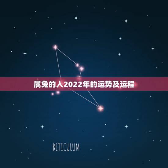 属兔的人2022年的运势及运程，2022 年羊的运势及运程