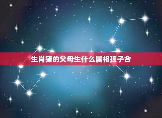 生肖猪的父母生什么属相孩子合，属鸡的父母适合要什么宝宝