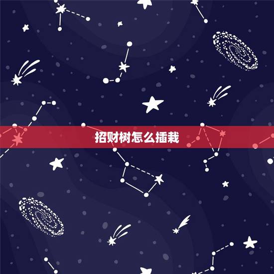招财树怎么插栽，招财树的养殖方法，冬季怎么养