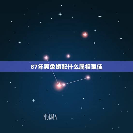 87年男兔婚配什么属相更佳,1987年属兔男人 87年男兔婚配什么属相更佳,1987年属兔男人