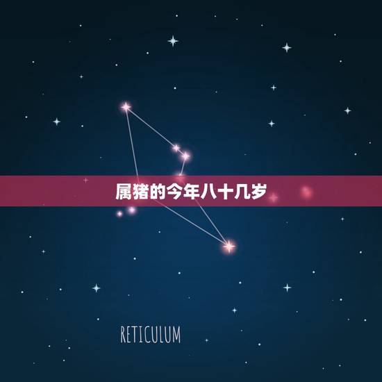 属猪的今年八十几岁，80后的今年多大了