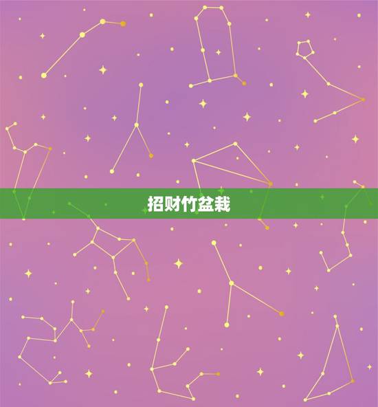 招财竹盆栽，招财竹怎么养