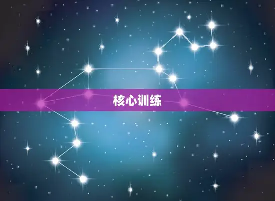核心训练 核心训练