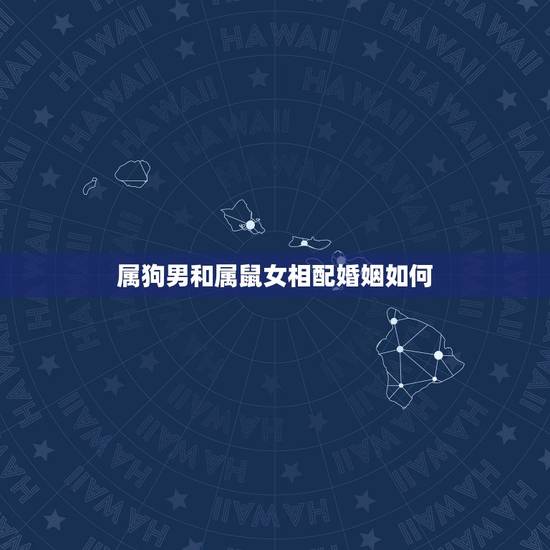 属狗男和属鼠女相配婚姻如何，男82年属狗和84年属鼠女婚配吗