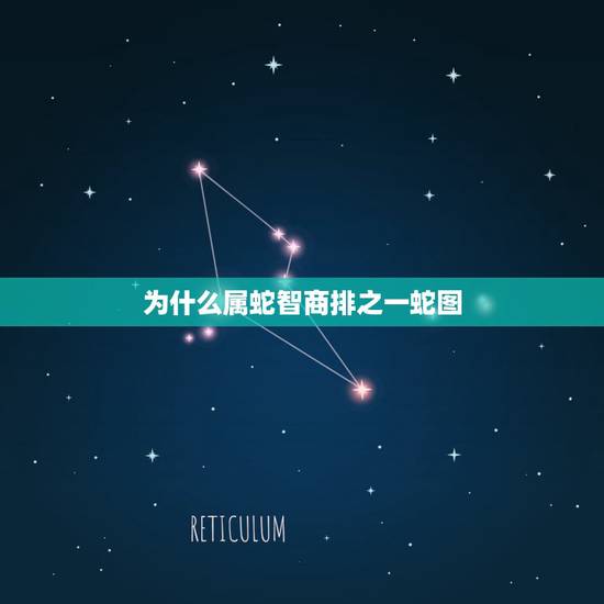 为什么属蛇智商排之一蛇图,射手座智商高的可怕 为什么属蛇智商排之一蛇图,射手座智商高的可怕