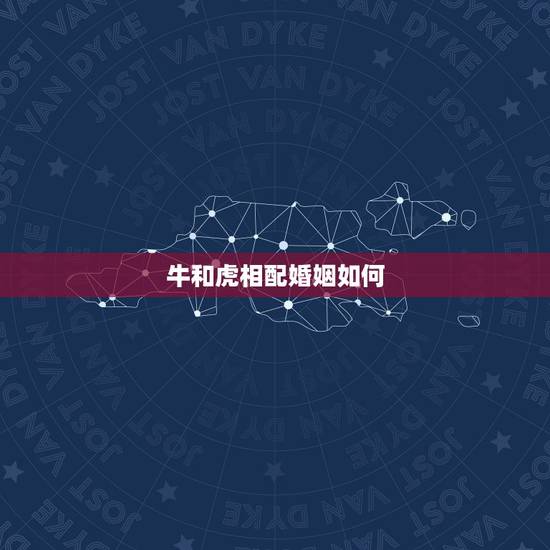 牛和虎相配婚姻如何，牛和虎相配吗
