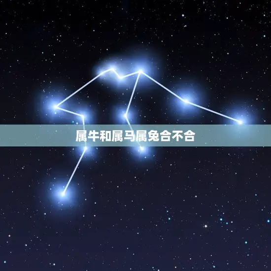 属牛和属马属兔合不合 属牛和属马属兔合不合