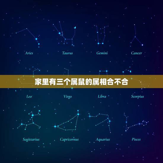 家里有三个属鼠的属相合不合，家里有三个属老鼠的好吗？