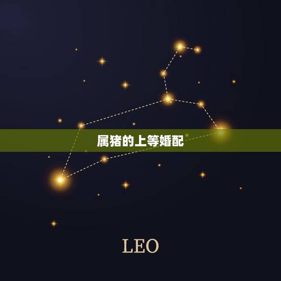 属猪的上等婚配,属相婚配,属猪的和什么属相最配 属猪的上等婚配,属相婚配,属猪的和什么属相最配