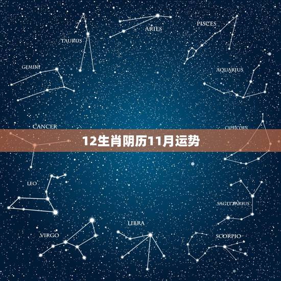 12生肖阴历11月运势，2010年12生肖运势