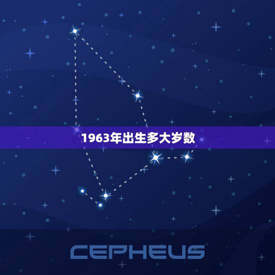 1963年出生多大岁数,63年到2022 年多少岁 1963年出生多大岁数,63年到2022 年多少岁
