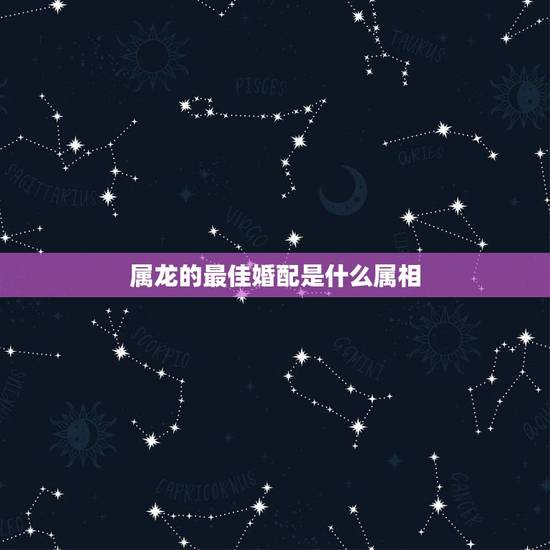 属龙的最佳婚配是什么属相，男属龙的和什么属相最配