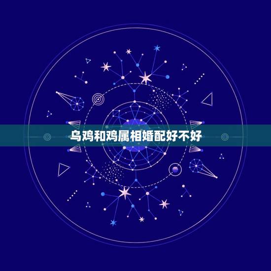 乌鸡和鸡属相婚配好不好,属鸡的和属鸡的婚配好不好 乌鸡和鸡属相婚配好不好,属鸡的和属鸡的婚配好不好