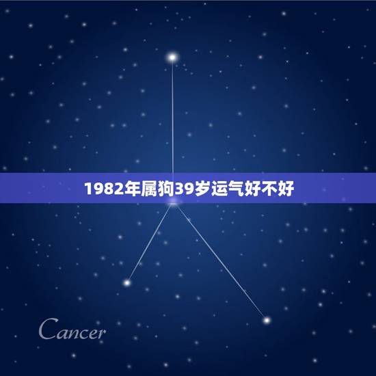 1982年属狗39岁运气好不好,1982年属狗是什么命,属狗的2013 1982年属狗39岁运气好不好,1982年属狗是什么命,属狗的2013