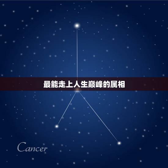 最能走上人生巅峰的属相,顶级富豪最多的生肖是哪个? 最能走上人生巅峰的属相,顶级富豪最多的生肖是哪个?