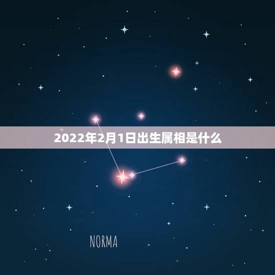 2022年2月1日出生属相是什么,92年2月1日的属相是什么 2022年2月1日出生属相是什么,92年2月1日的属相是什么