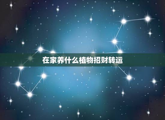 在家养什么植物招财转运,家里种什么植物招财 在家养什么植物招财转运,家里种什么植物招财