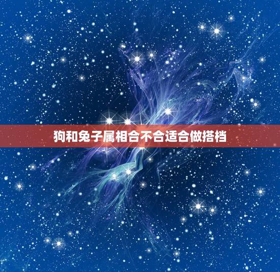 狗和兔子属相合不合适合做搭档,属狗和属兔的合不合 狗和兔子属相合不合适合做搭档,属狗和属兔的合不合