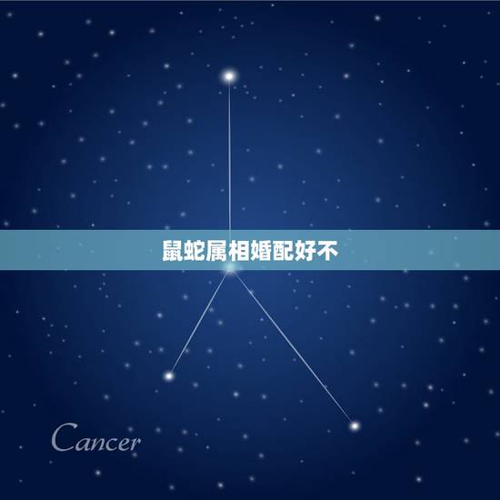 鼠蛇属相婚配好不,属相婚配:男属猪和女属蛇相配吗 鼠蛇属相婚配好不,属相婚配:男属猪和女属蛇相配吗