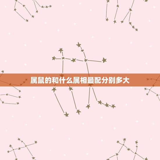 属鼠的和什么属相最配分别多大，属鼠的和什么属相最配？