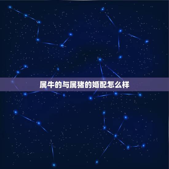 属牛的与属猪的婚配怎么样,属牛和属猪的人合不合 属牛的与属猪的婚配怎么样,属牛和属猪的人合不合