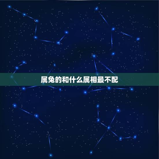 属兔的和什么属相最不配，属兔和什么属相比较相配