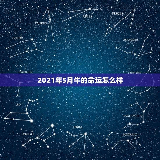2021年5月牛的命运怎么样，属相牛在2021年运势怎么样？