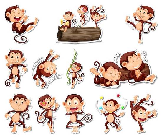 80年属猴的是什么命男(命运如何)