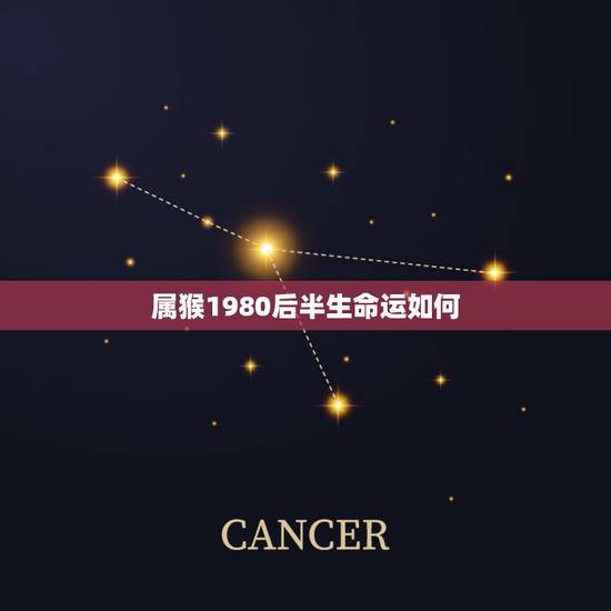 属猴1980后半生命运如何,1980年猴42岁劫数 属猴1980后半生命运如何,1980年猴42岁劫数