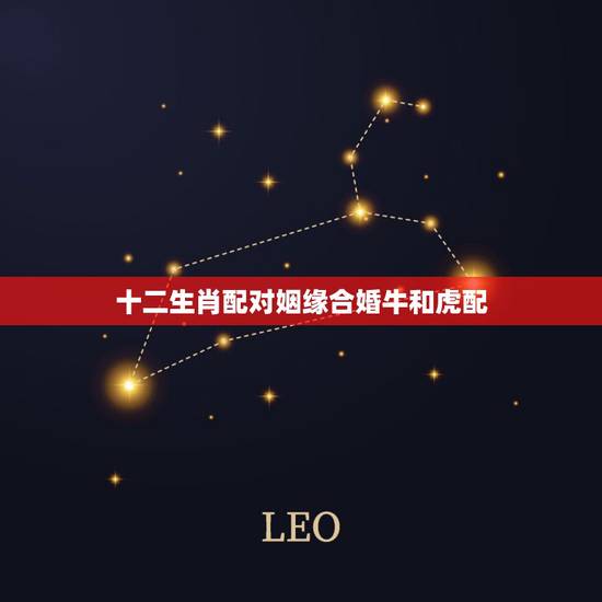 十二生肖配对姻缘合婚牛和虎配,牛和虎的属相合不合 十二生肖配对姻缘合婚牛和虎配,牛和虎的属相合不合