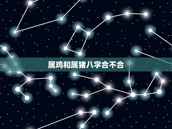 属鸡和属猪八字合不合,免费测两人八字合不合 属鸡和属猪八字合不合,免费测两人八字合不合