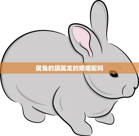 属兔的跟属龙的婚姻配吗(星座专家揭秘) 属兔的跟属龙的婚姻配吗(星座专家揭秘)