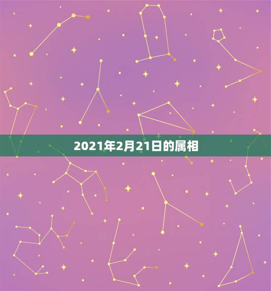 2021年2月21日的属相，2021年属牛二月出生是什么命