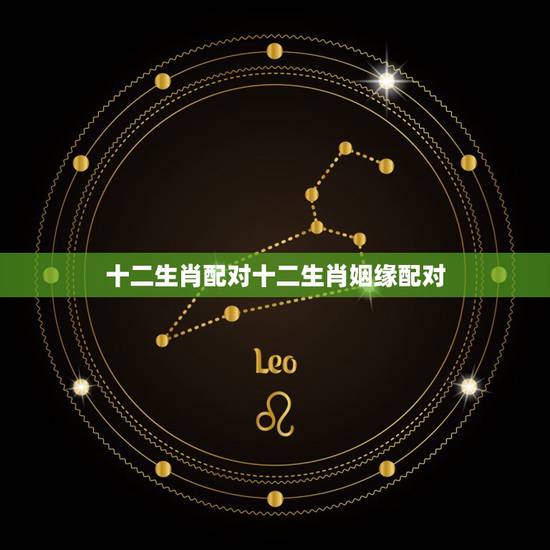 十二生肖配对十二生肖姻缘配对，怎样去属相生肖配对姻缘查询