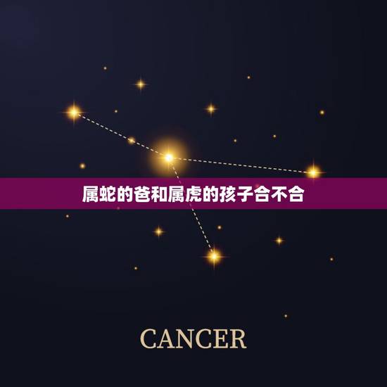 属蛇的爸和属虎的孩子合不合，属蛇和属虎是不是真的特别不合？