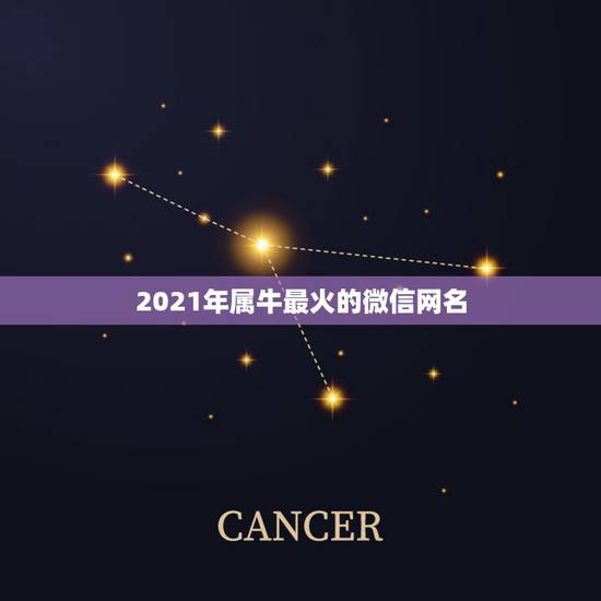 2021年属牛最火的微信网名，2021年属牛吉利名字女孩
