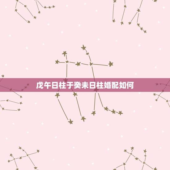 戊午日柱于癸未日柱婚配如何，合婚男女八字日柱相同，好不好