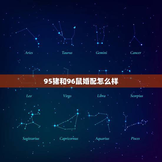 95猪和96鼠婚配怎么样,96鼠和95猪相配吗 95猪和96鼠婚配怎么样,96鼠和95猪相配吗
