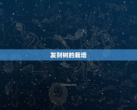 发财树的栽培,怎样栽培发财树呢?发财树的种植方法是什么? 发财树的栽培,怎样栽培发财树呢?发财树的种植方法是什么?