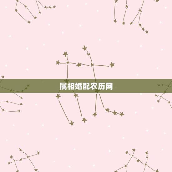 属相婚配农历网，属相婚配 八字合婚 请高人