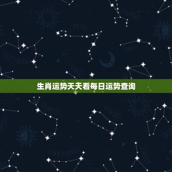 生肖运势天天看每日运势查询，水墨先生今日运势查询