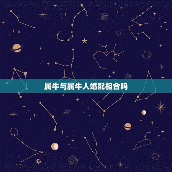 属牛与属牛人婚配相合吗，属牛的人和什么属相最配