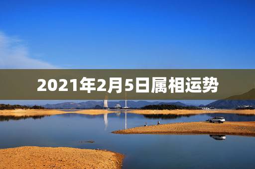 2021年2月5日属相运势,2021属相全年运势 2021年2月5日属相运势,2021属相全年运势