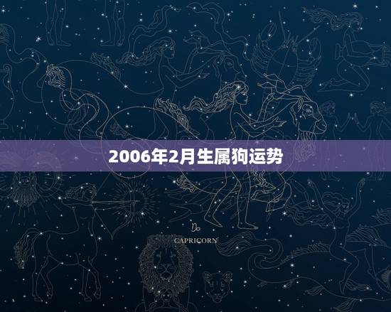 2006年2月生属狗运势 2006年2月生属狗运势