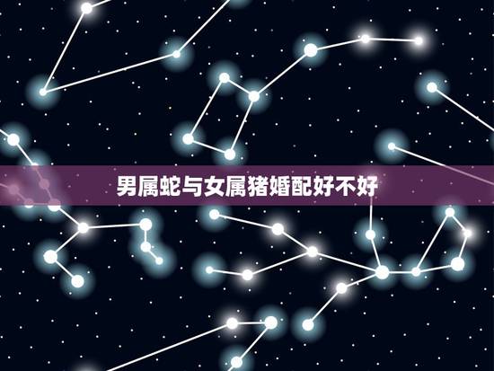 男属蛇与女属猪婚配好不好，男属蛇，女属猪的婚姻好不好？