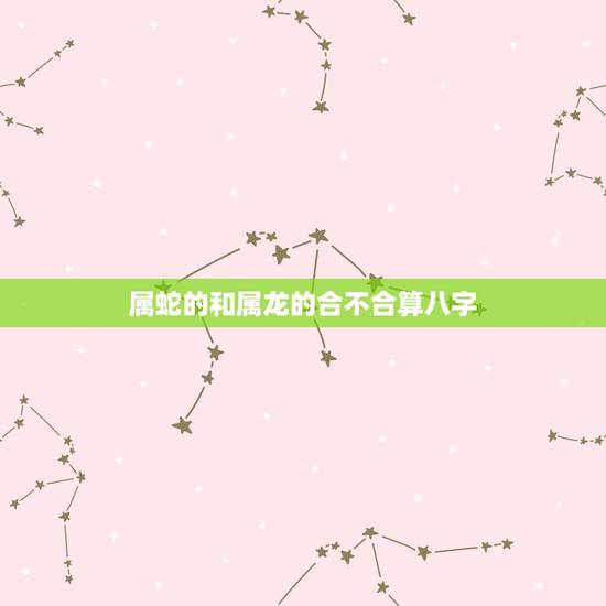 属蛇的和属龙的合不合算八字，蛇与龙合不合适