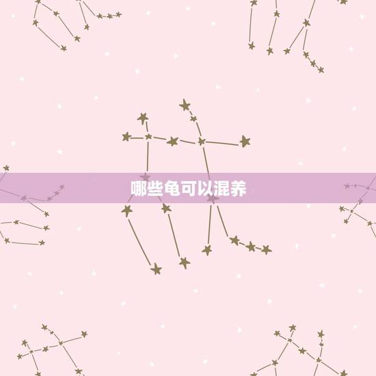 哪些龟可以混养，什么龟可以跟巴西龟一起养？