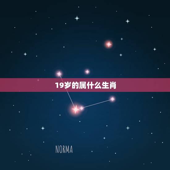 19岁的属什么生肖，19岁属什么生肖配对