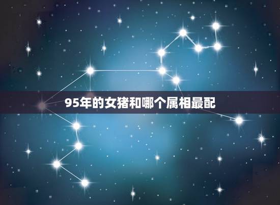 95年的女猪和哪个属相最配,95的猪和什么属相最配 95年的女猪和哪个属相最配,95的猪和什么属相最配